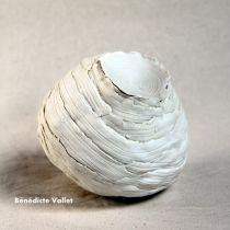 Benedicte Vallet.jpg